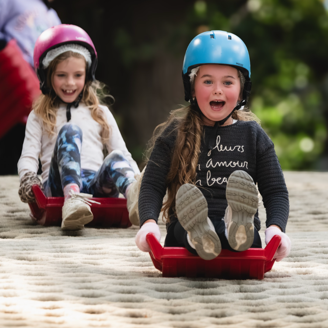 Mini Ringo and Sledging Party