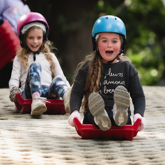 Mini Ringo and Sledging Party